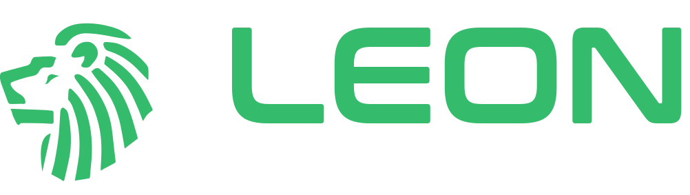 LEON AYDINLATMA 